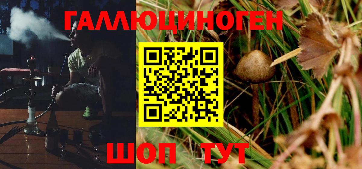Галлюциногенные грибы Psilocybe  Вход с VPN  Сергиев Посад 