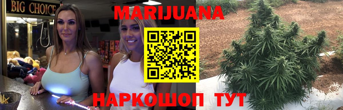 Конопля сатива Сергиев Посад